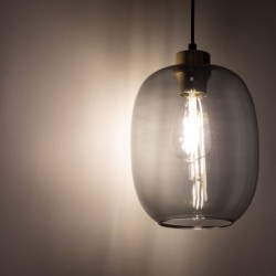 Pakabinamas šviestuvas OMEGA 1xE27 JUODA, AUKSO