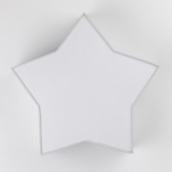 Sieninis šviestuvas STAR 2xE27 BALTA
