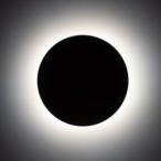 Sieninis šviestuvas LUNA 4xG9 ĄŽUOLO, JUODA