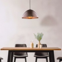 Pakabinamas šviestuvas FARO 1xE27 ŽALVARIO