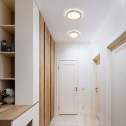 Lubinis šviestuvas AQUA 4W 3000, 4000, 6500K (CCT keičiama) BUKO