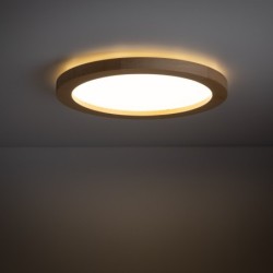 Lubinis šviestuvas AQUA 4W 3000, 4000, 6500K (CCT keičiama) BUKO