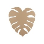 Sieninis šviestuvas MONSTERA 4xG9