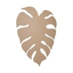 Sieninis šviestuvas MONSTERA 4xG9