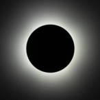 Sieninis šviestuvas LUNA ŽALIA