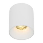 Lubinis šviestuvas BLAZE 1xLED 12W 3000, 4000, 6000 K (CCT keičiama) BALTA