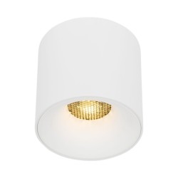 Lubinis šviestuvas BLAZE 1xLED 30W 3000, 4000, 6000 K (CCT keičiama) BALTA