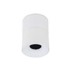 Lubinis šviestuvas SPARK 1xLED 10W 3000, 4000, 6000 K (CCT keičiama) BALTA