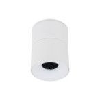 Lubinis šviestuvas SPARK 1xLED 10W 3000, 4000, 6000 K (CCT keičiama) BALTA