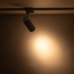 Bėginės sistemos TRACER 1-fazės šviestuvas 1xLED 20W 2700, 4000, 6000K (CCT keičiama) BALTA