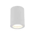 Lubinis šviestuvas LIGNO 1xGU10 BALTA IP44