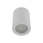 Lubinis šviestuvas LIGNO 1xGU10 BALTA IP44