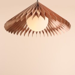 Pakabinamas šviestuvas NATURE SUN L 1xE27 Geležis, Stiklas, Mediena (1140G_L)