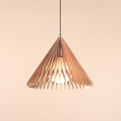 Pakabinamas šviestuvas NATURE SUN M 1xE27 Geležis, Stiklas, Mediena (1140G_M)