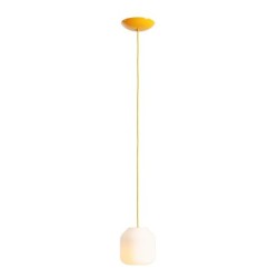 Pakabinamas šviestuvas FLASK MIMOSA S 1xE14 Geležis, Stiklas (8500G21_S)