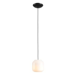 Pakabinamas šviestuvas FLASK ORCHID S 1xE14 Geležis, Stiklas (8500G1_S)