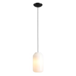 Pakabinamas šviestuvas FLASK ORCHID M 1xE27 Geležis, Stiklas (8500G1_M)