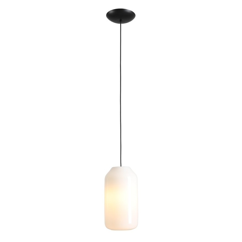 Pakabinamas šviestuvas FLASK ORCHID M 1xE27 Geležis, Stiklas (8500G1_M)