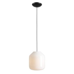 Pakabinamas šviestuvas FLASK ORCHID L 1xE27 Geležis, Stiklas (8500G1_L)