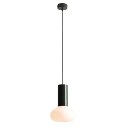 Pakabinamas šviestuvas FLO MOSS S 1xE14 Geležis, Stiklas (7000G26_S)
