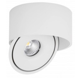 Lubinis LED šviestuvas, 20W, apvalus, pakreipiamas, baltas, CCT šviesa