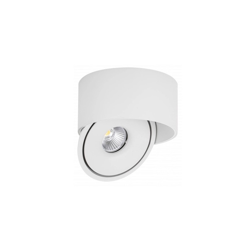 Lubinis LED šviestuvas, 20W, apvalus, pakreipiamas, baltas, CCT šviesa