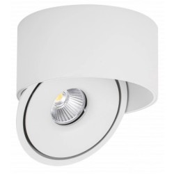 Lubinis LED šviestuvas, 30W, apvalus, pakreipiamas, baltas, CCT šviesa