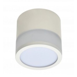 Lubinis LED šviestuvas, 12W, apvalus, baltas, neutrali balta šviesa (4000K)