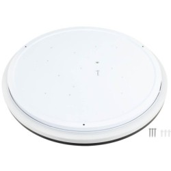 Lubinis LED šviestuvas Ø48.5cm 36W, baltas/juodas, CCT šviesa