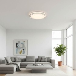 Lubinis LED šviestuvas Ø48.5cm 36W, baltas/sidabrinis, CCT šviesa