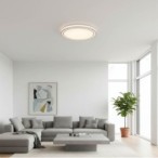 Lubinis LED šviestuvas Ø48.5cm 36W, baltas/sidabrinis, CCT šviesa