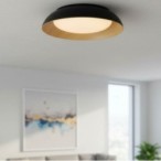 Lubinis LED šviestuvas Ø51cm 24W, baltas/juodas/medžio, CCT šviesa