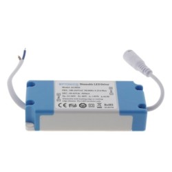 Pritemdomas maitinimo šaltinis 220V 10-18*1W 300MA 30-63V