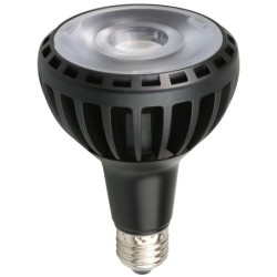 LED lemputė PAR30 25W/220V E27 4500K RA80 - Juoda spalva