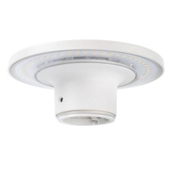 LED sieninis lauko šviestuvas Plastikas BALTA SPALVA IP65 12W 3000K