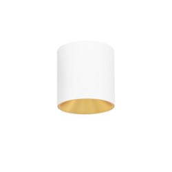 Lubinis šviestuvas Altisma LED 15W 3000K Balta Matinė Aukso Viduje (CLN-6677-95-WH-GD-3K)
