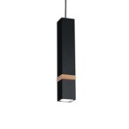 Pakabinamas šviestuvas VIDAR BLACK 1xGU10