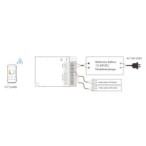Nuolatinės įtampos Vienos spalvos RGB/RGBW ir CCT valdiklis V4-X 12-46V 4x8A