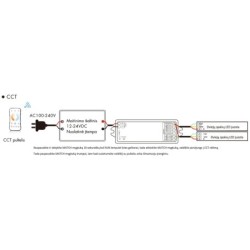 Nuolatinės įtampos 5 kanalų universalus SMART WiFi TUYA vienos spalvos, CCT, RGB/RGBW/RGB+CCT  valdiklis WT5 12-46V 5x3A su gali