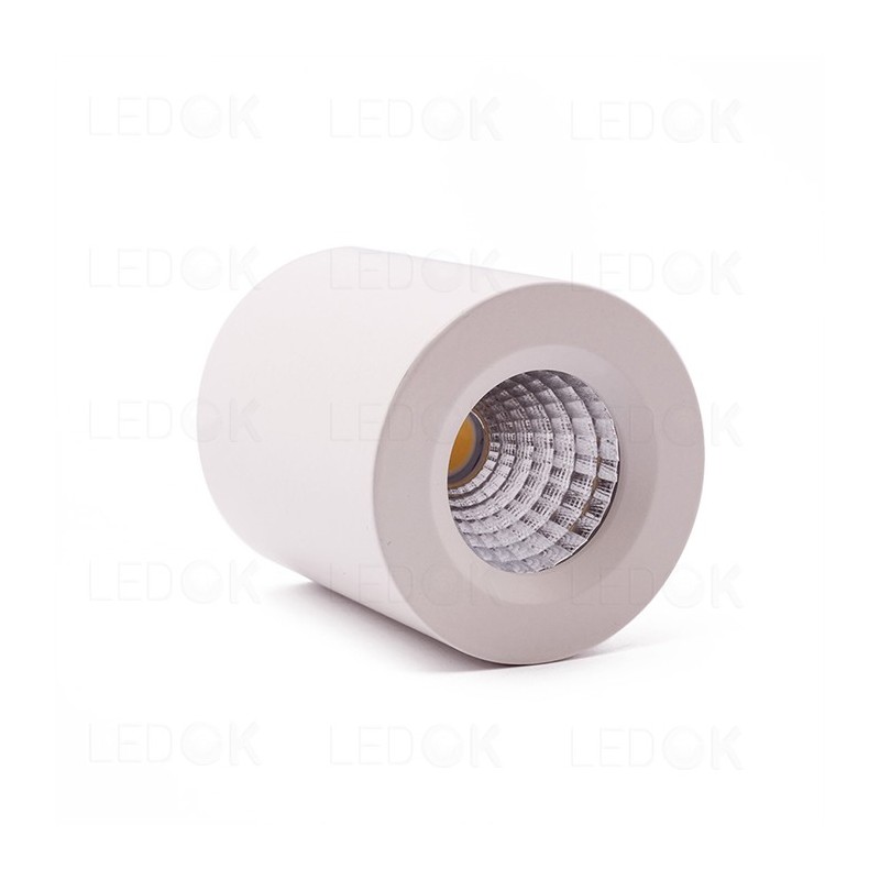 Paviršinio montavimo LED šviestuvas 3W šilta balta (3300K) Balta