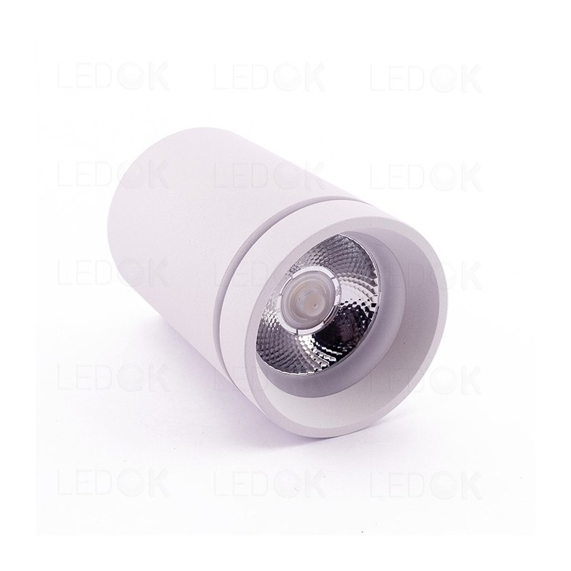 Paviršinio montavimo LED šviestuvas 10W šilta balta (3300K) Balta
