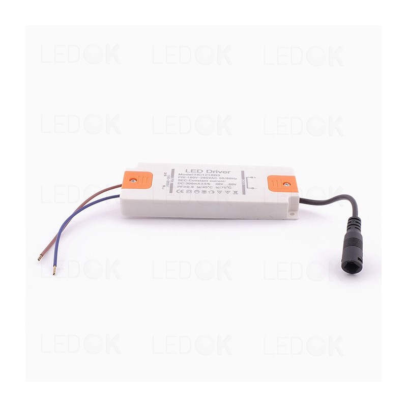 18W SLIM impulsinis srovės šaltinis (AC220V) DC36-60V 300mA