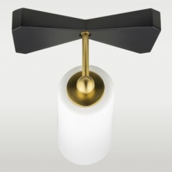 Sieninis šviestuvas BOW W01169BK 1xE27