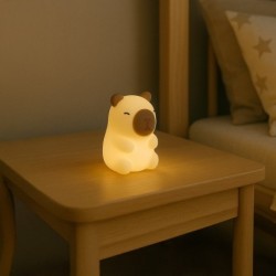 Naktinis LED šviestuvas CAPYBARA 1W 3000K+RGB USB 5V 0.5A