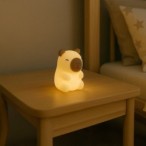 Naktinis LED šviestuvas CAPYBARA 1W 3000K+RGB USB 5V 0.5A