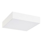 Lubinis lauko šviestuvas Tartu LED 18W 2800-6000K CCT keičiama balta spalva (Matinė Balta)