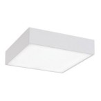 Lubinis lauko šviestuvas Tartu LED 18W 2800-6000K CCT keičiama balta spalva (Matinė Balta)