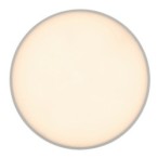 Lubinis lauko šviestuvas Tartu LED 18W 2800-6000K CCT keičiama balta spalva (Matinė Balta)