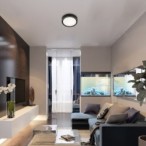 Lubinis šviestuvas Mokka LED 24W 3000-6000K CCT keičiama balta spalva (Ruda)