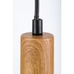 Pakabinamas šviestuvas Dollien E27 1x MAX 60W (Matinė Juoda)
